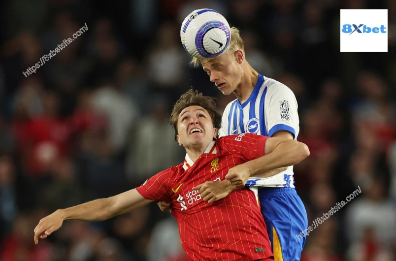 Brighton đấu với Liverpool: Thắng lợi kịch tính giúp Brighton nuôi hy vọng châu Âu